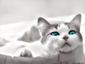GATO