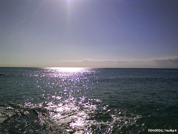 Playiita¡¡