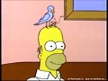 Confirma Homero Gerard Simpson enfado