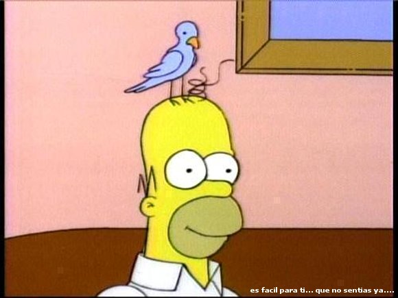 Confirma Homero Gerard Simpson enfado