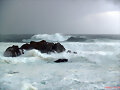 ROmpe el Mar con tu voz, Llega hasta mi.