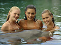 las tres con un delfin!!