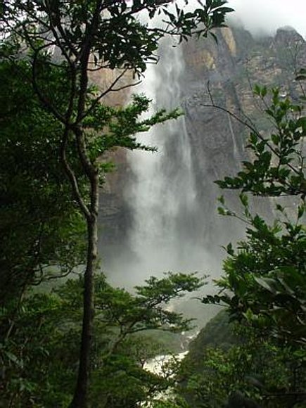 canaima