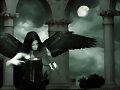 dark angel