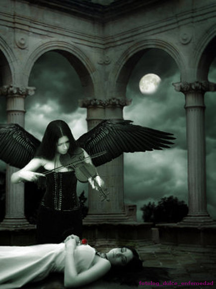 dark angel
