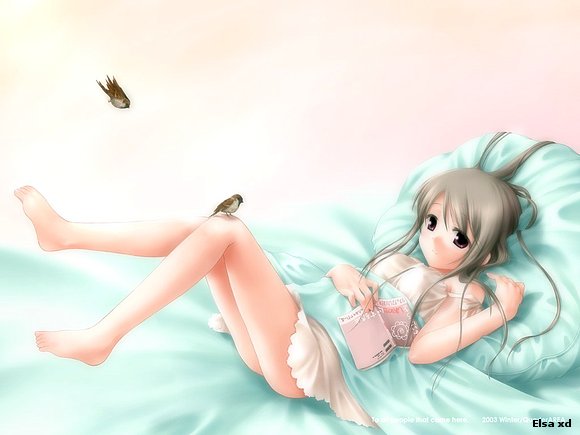 Haz como el sol