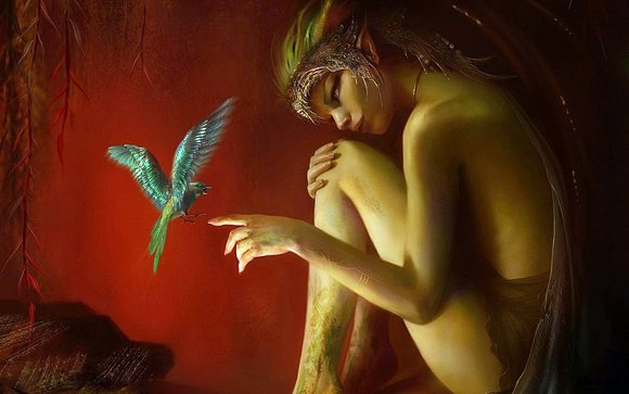 Amor de Colibrì