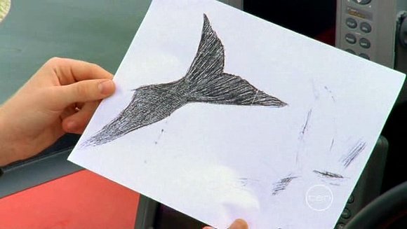 El dibujo de Zane