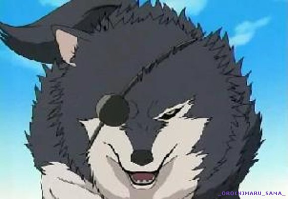 CLAN_INUZUKA