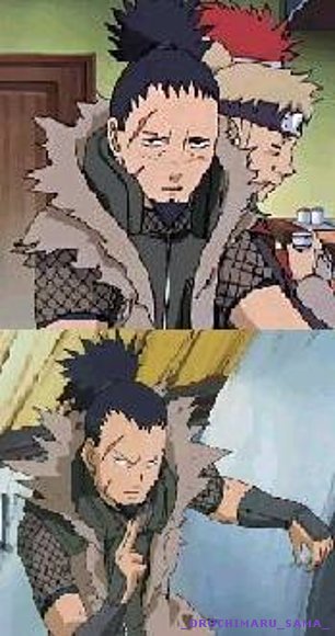 PAPA_DE_SHIKAMARU