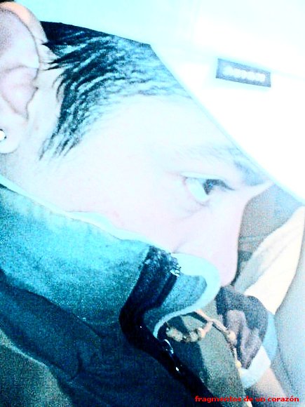 LOS DIAS**