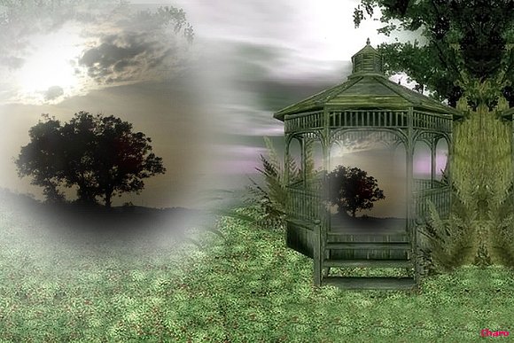 "EL JARDIN DE LOS SUEÑOS (Charo)