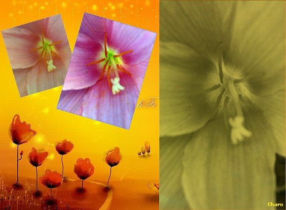 " Flores y flores "