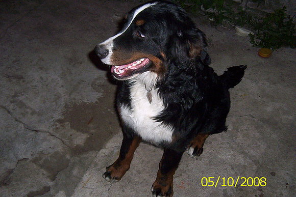 7 meses!!!