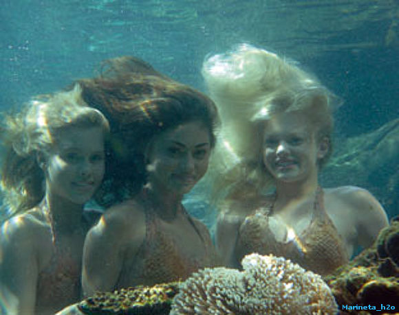 H2O - In the water!!