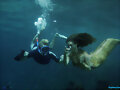 H2O - Cleo and Lewis swimming