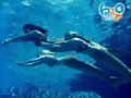 H2O -  Emma-Rikki-Cleo