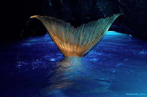H2O - Mermaid Tail !