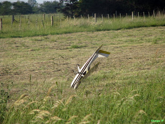 Aterrizó elegante