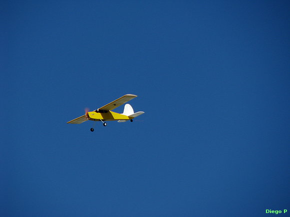 Vuelo electrico