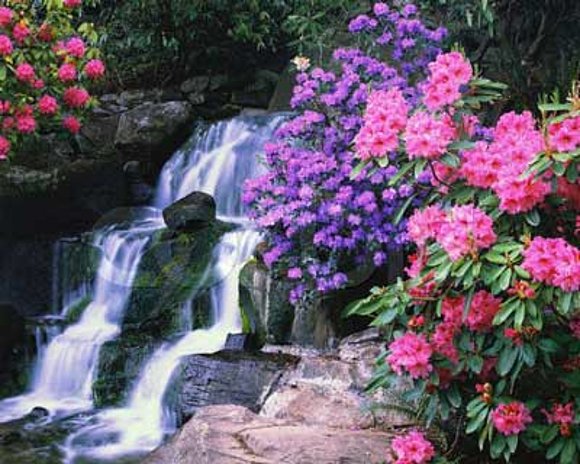 Primavera...
