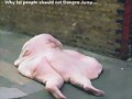 &iexcl; Cuidado con las dietas !