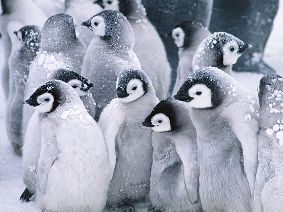 Reunión