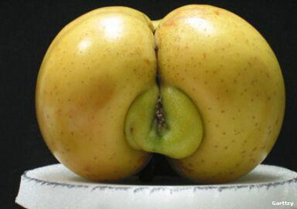 Manzana-sex