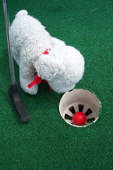 Cursillo de golf , parte 2ª