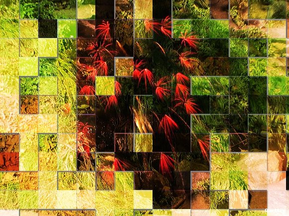 Mosaico