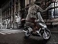 Turista