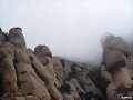 Colosos