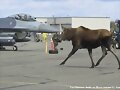 Controlador a&eacute;reo