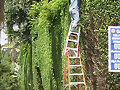Escalera extensible