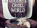 Suici-gato
