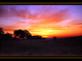 AMANECER