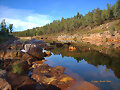 REFLEJOS II