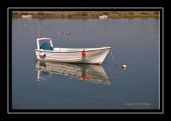 SOLITARIA II