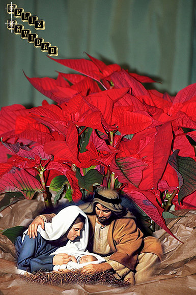FELIZ NAVIDAD