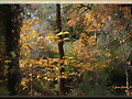 OTO&Ntilde;O
