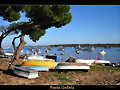 PUNTA UMBRIA