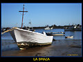 LA BARCA