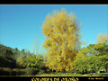 COLORES DE OTO&Ntilde;O