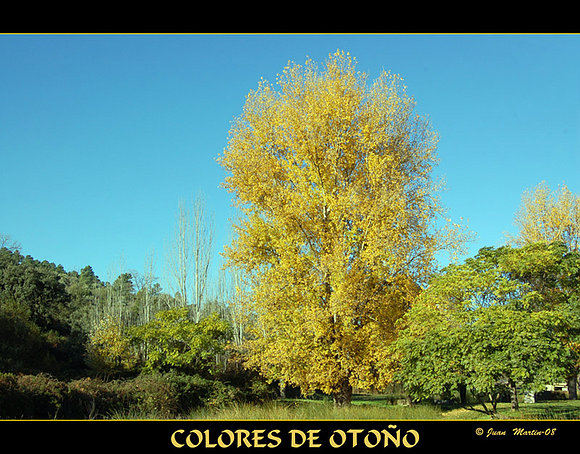 COLORES DE OTOÑO