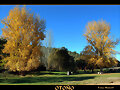 OTO&Ntilde;O