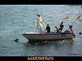 MARINEROS