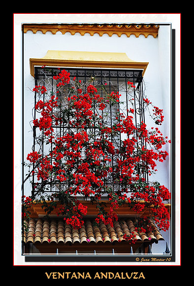 TIPICA ANDALUZA