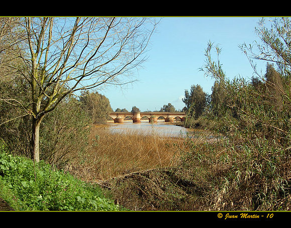 RIBERA DEL TINTO II