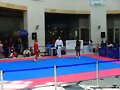 COMBATE DE EXHIBICION SANDA