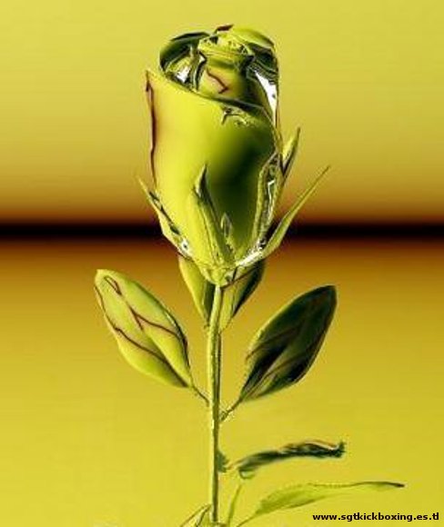 SI LAS FLORES SE MARCHITAN